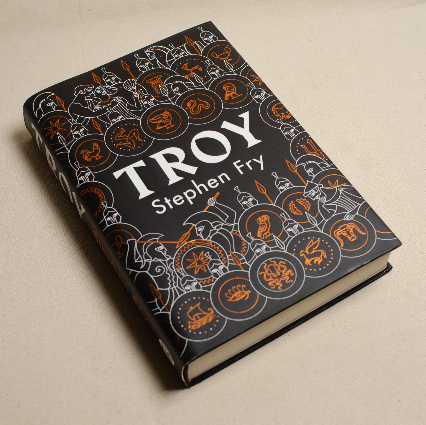 Troy (Hard back)