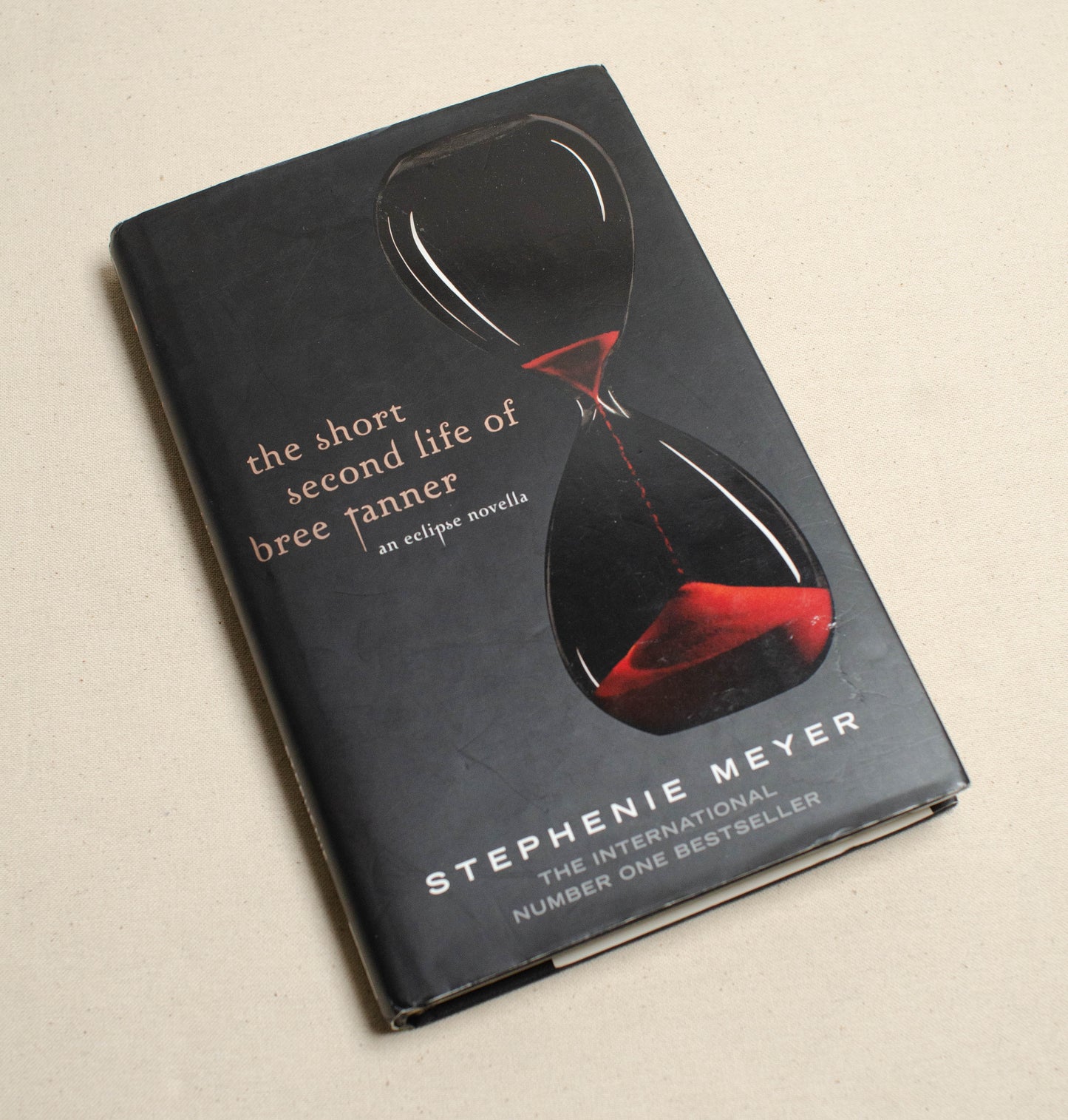 The Short Second Life of Bree Tanner